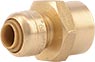 DZR Brass Female Adapter