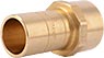 DZR Brass Female Threaded Adapter